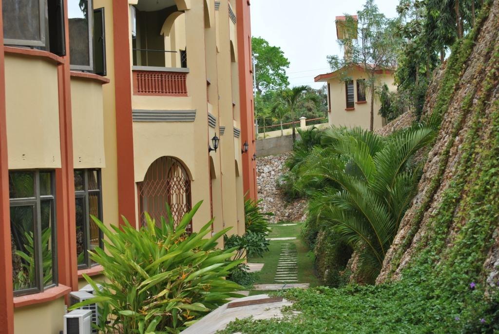 Sunset Paradise landscaping